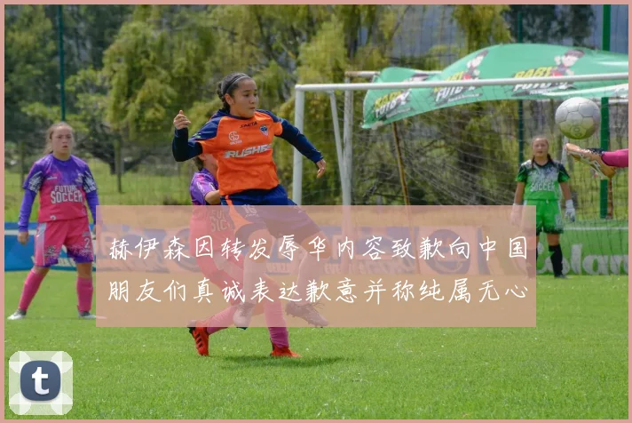 赫伊森因转发辱华内容致歉向中国朋友们真诚表达歉意并称纯属无心之过