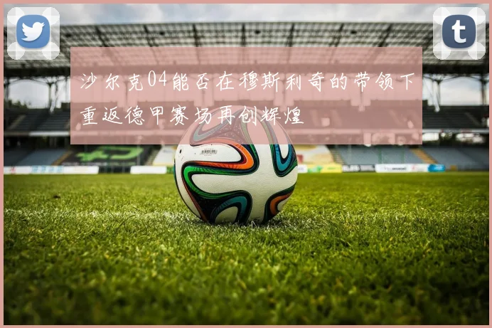 沙尔克04能否在穆斯利奇的带领下重返德甲赛场再创辉煌