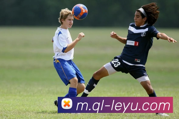 乐鱼体育品牌故事