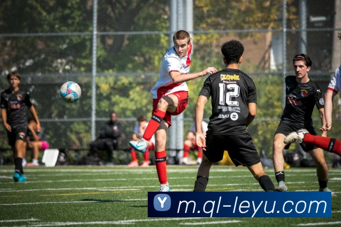 乐鱼体育服务体系